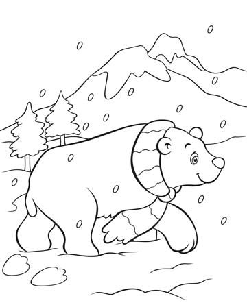 360x445 Polar Bear Coloring Page