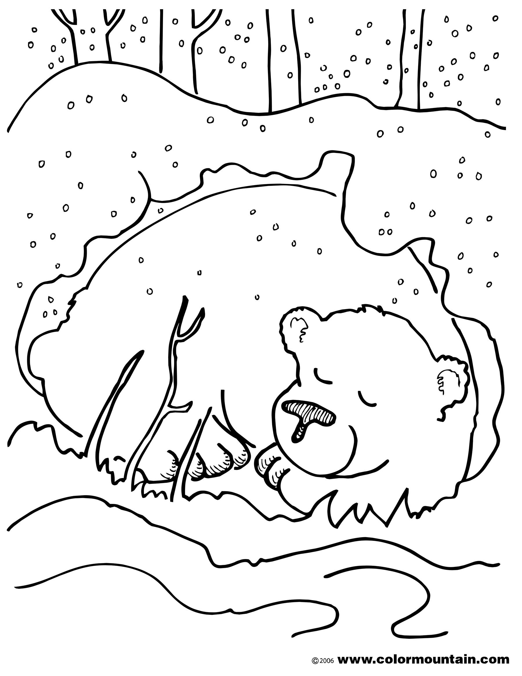 1800x2329 Security Polar Bear Coloring Pages Modest Sheets 17 3575 4890