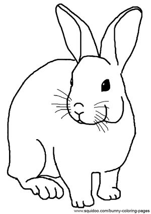 Cartoon Rabbit Coloring Pages