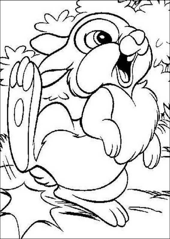 567x794 Jack Rabbit Clipart Colouring Page