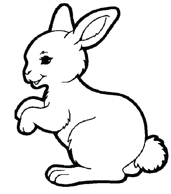 600x680 Baby Bunnies Coloring Pages Rabbit Coloring Sheets Baby Bunny