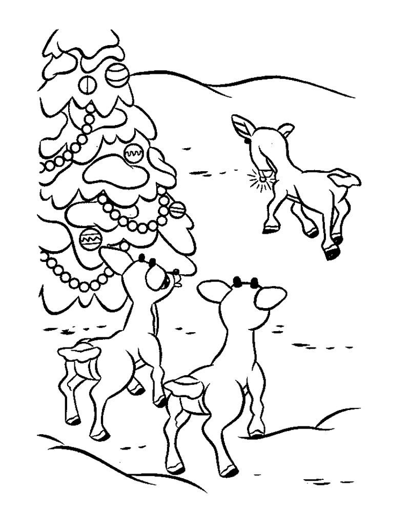 800x1034 Reindeer Coloring Pages