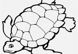 300x210 Turtle Coloring Pages Photo Cartoon Turtle Coloring Pages 14 1135