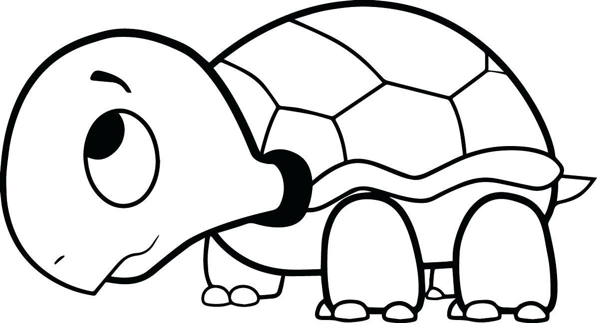 1196x648 Cartoon Turtle Coloring Pages