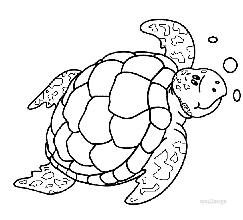 850x770 Sea Turtle Coloring Pages Printable Printable Sea Turtle Coloring