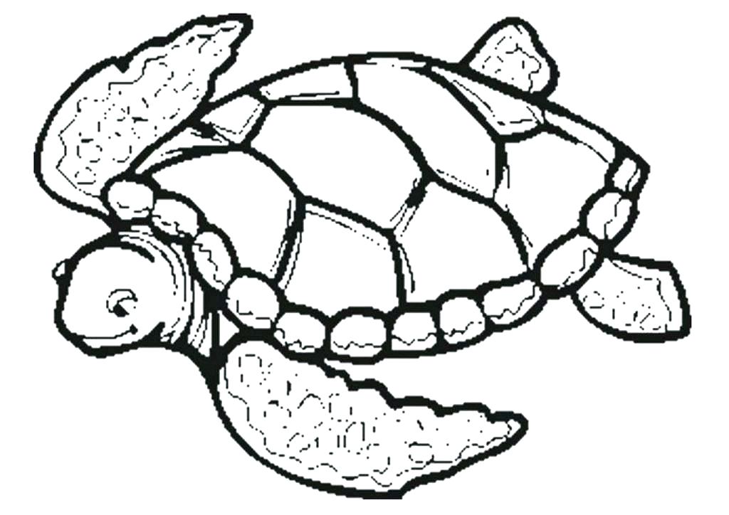 1024x724 Cartoon Sea Turtle Coloring Pages Turtles On With To Of Green