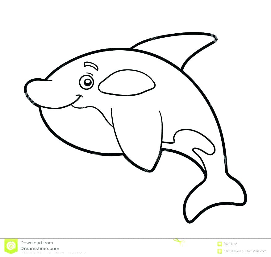 878x833 Whale Shark Coloring Page Whale Shark Coloring Page Printable
