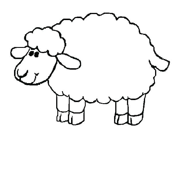 Cartoon Sheep Coloring Pages