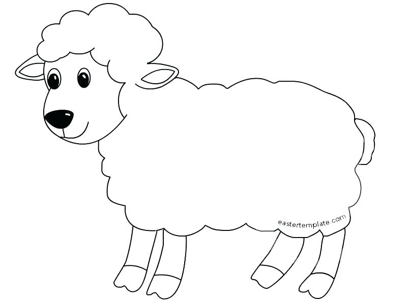 808x595 Coloring Page Sheep Coloring Page Of Sheep Coloring Pages Sheep