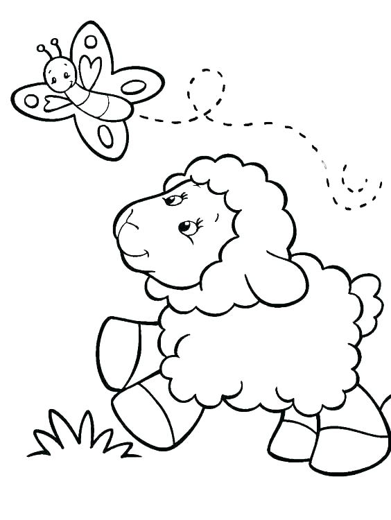 564x750 Sheep Outline Drawing Coloring Page Sheep Cartoon Images Funny