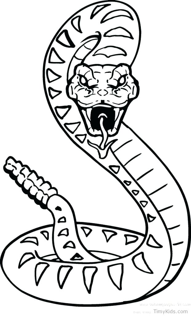 621x1024 Snake Coloring Page Coloring Pictures Of Snakes Snake Coloring