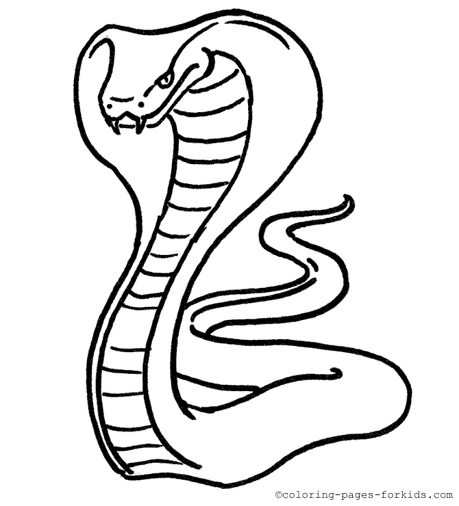 670x740 Snake Coloring Pages Printable Coloring Pages