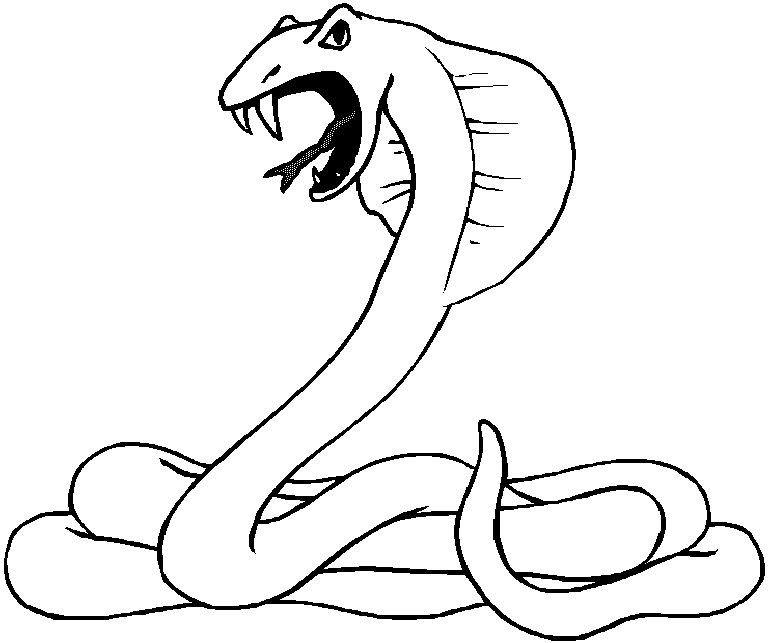 768x643 Snake Coloring Pages For Preschoolers Free Printable Snake