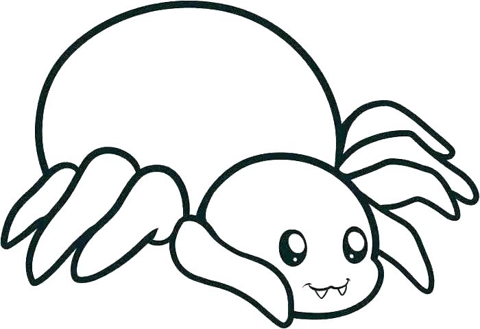 700x480 Spider Web Coloring Pages Cartoon Spiders Pictures Spider Web