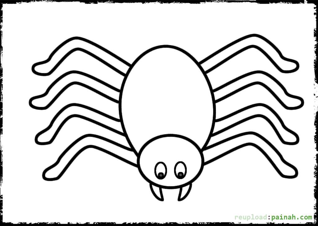 1024x728 Spider Coloring Pages To Download And Print For Free