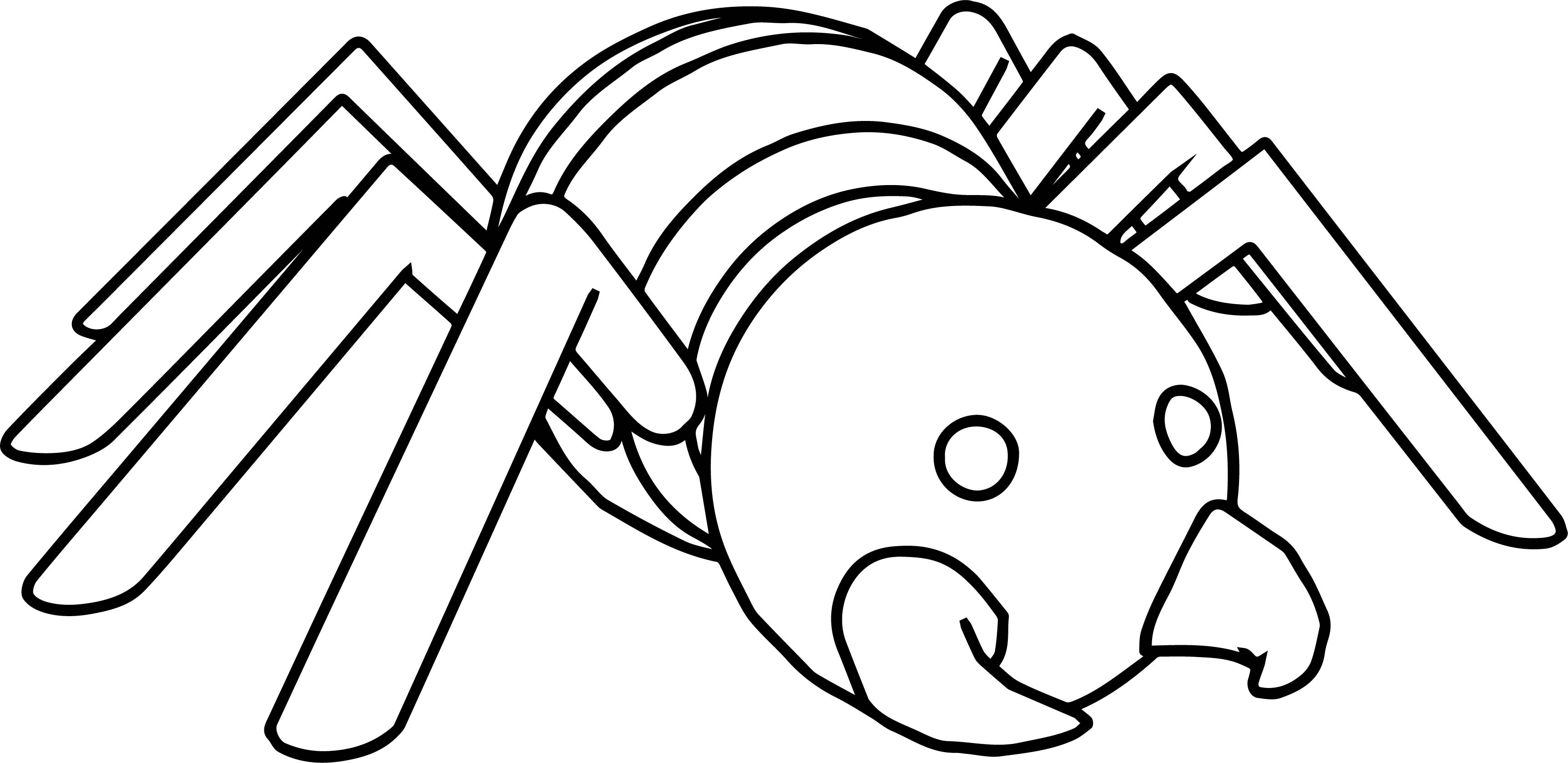 3446x1678 Comic Cartoon Spider Coloring Page Wecoloringpage
