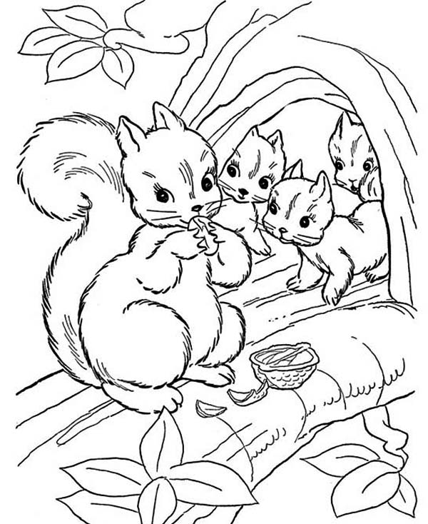 600x734 Free Coloring Pages Of Squirrels