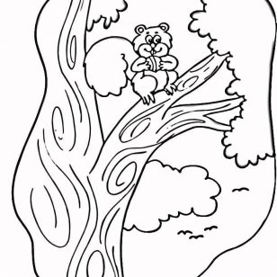 308x308 Free Download Cartoon Squirrels Coloring Pages