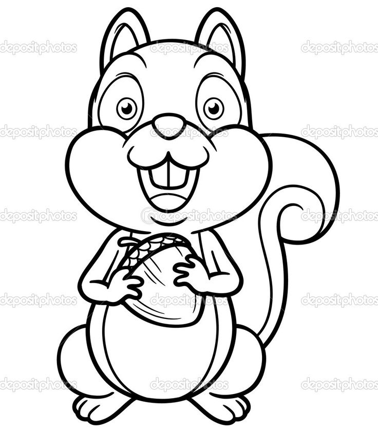 736x841 Free Coloring Pages Of Cute Picture Of A Squirl, Cute Squirrel