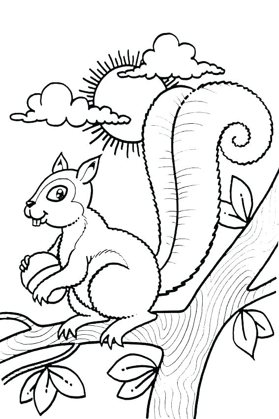 567x850 Scaredy Squirrel Coloring Pages