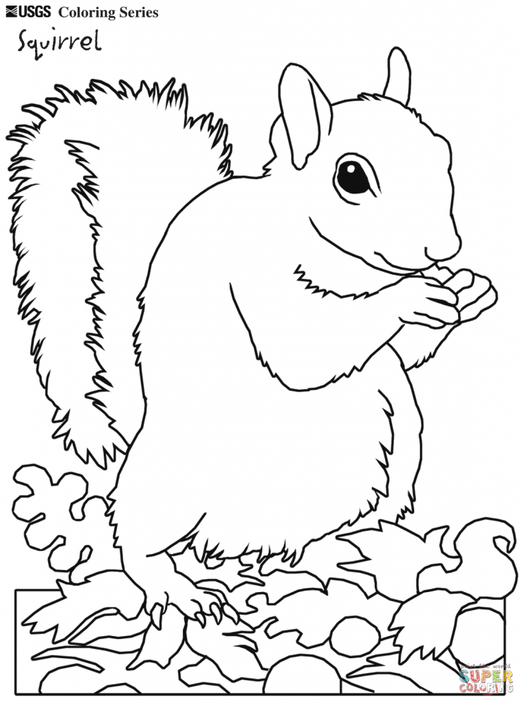 762x1024 Depositphotos 163576284tock Illustration Cutequirrel Coloring Page