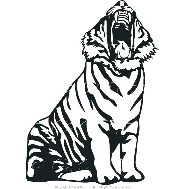 618x630 Cute Tiger Coloring Pages Cute Tiger Coloring Pages Cute Baby