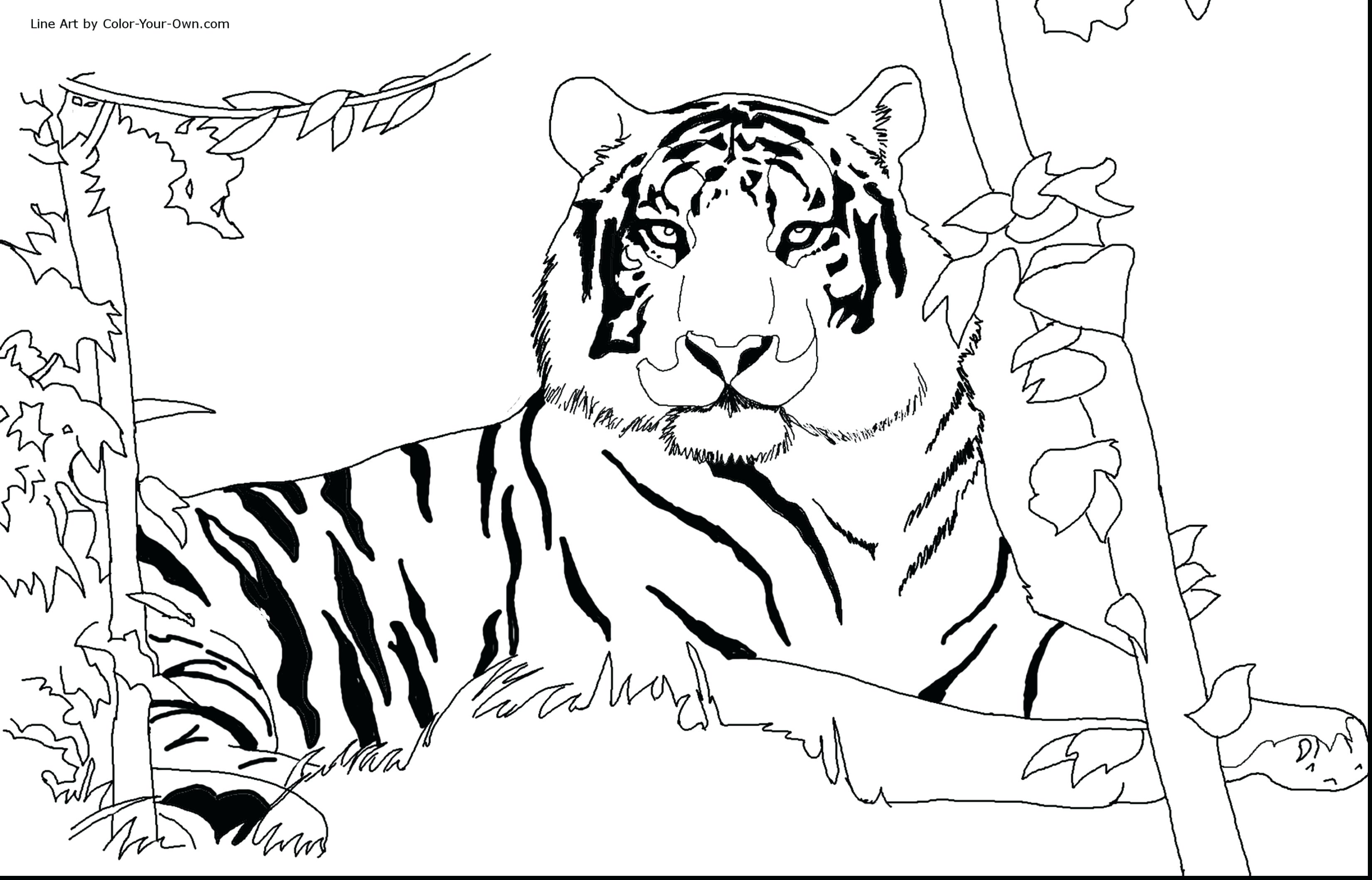 3300x2116 Coloring Pages ~ Daniel Tiger Coloring Pages Book Family Cartoon