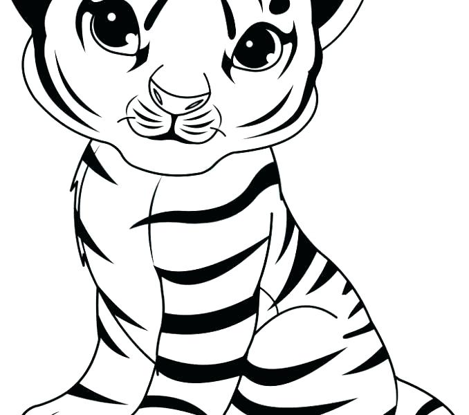 678x600 Tiger Color Pages