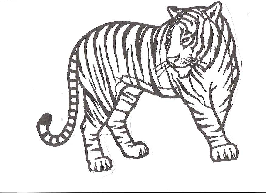 877x637 Cartoon Tiger Coloring Pages Page Image Clipart Images