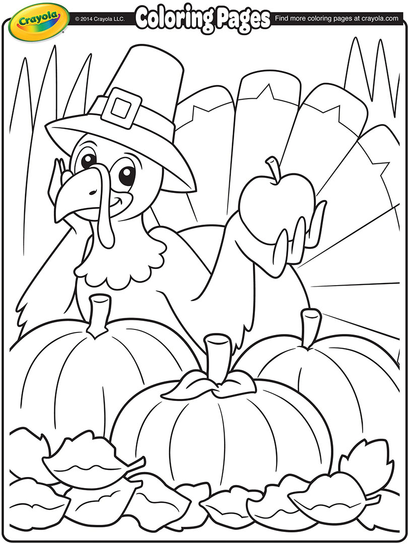 810x1080 Thanksgiving Turkey Cartoon Coloring Page
