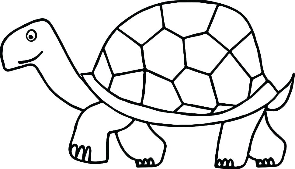 970x556 Cartoon Turtle Coloring Pages Ninja Turtles Coloring Sheets Baby