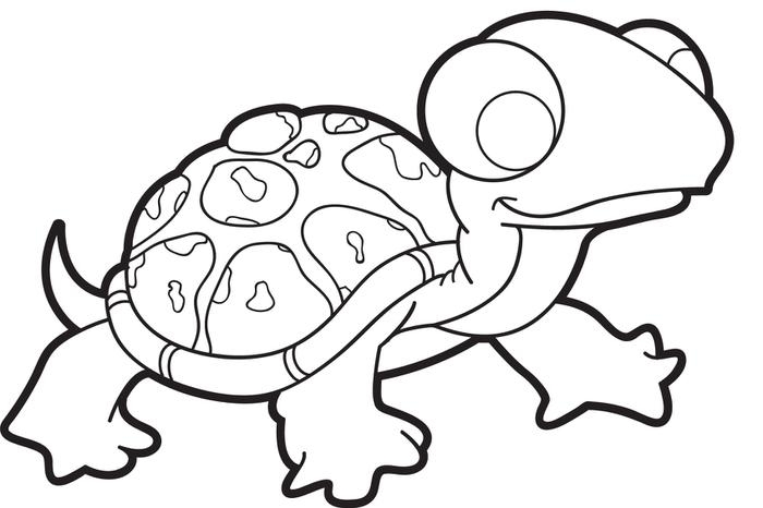 700x466 Cartoon Turtle Coloring Pages Free Printable Turtle Coloring Page