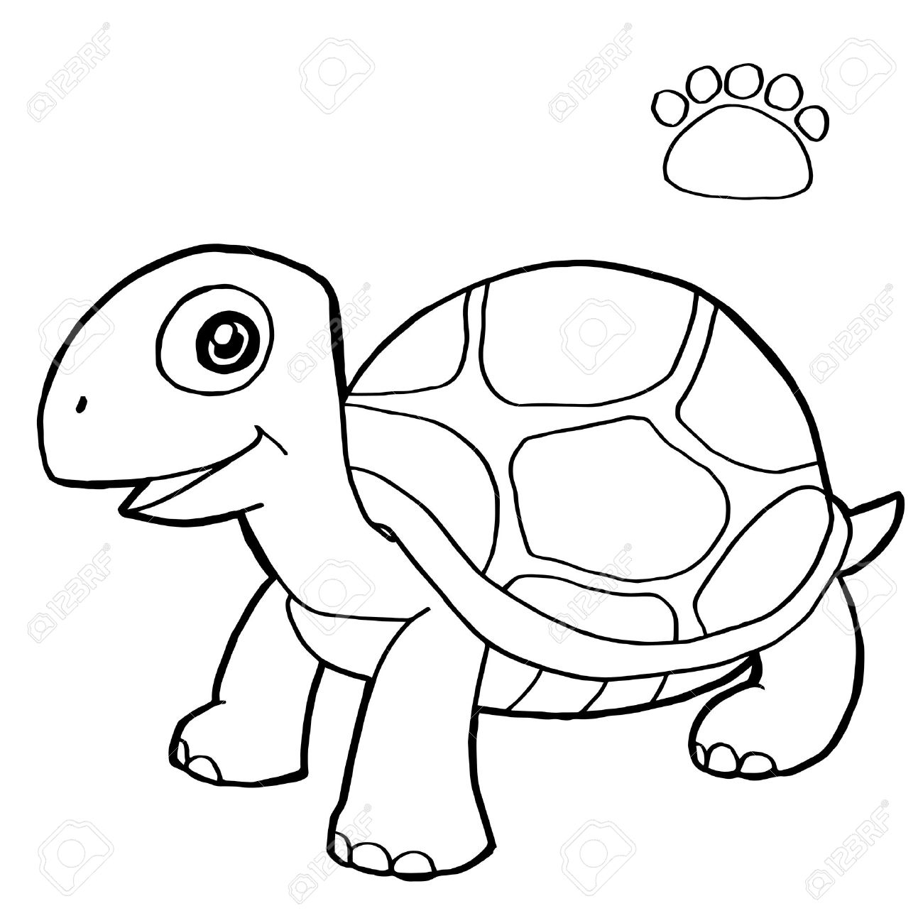 1300x1300 Exclusive Turtle Pictures To Print Special Inf