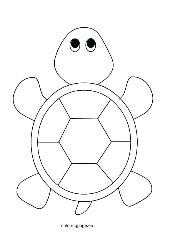 595x822 Sea Turtle Coloring