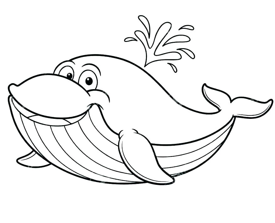 878x713 Killer Whale Coloring Page Jumping Mammals Killer Whale Coloring