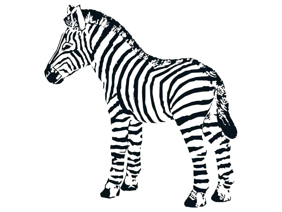 940x705 Zebra Coloring Pages