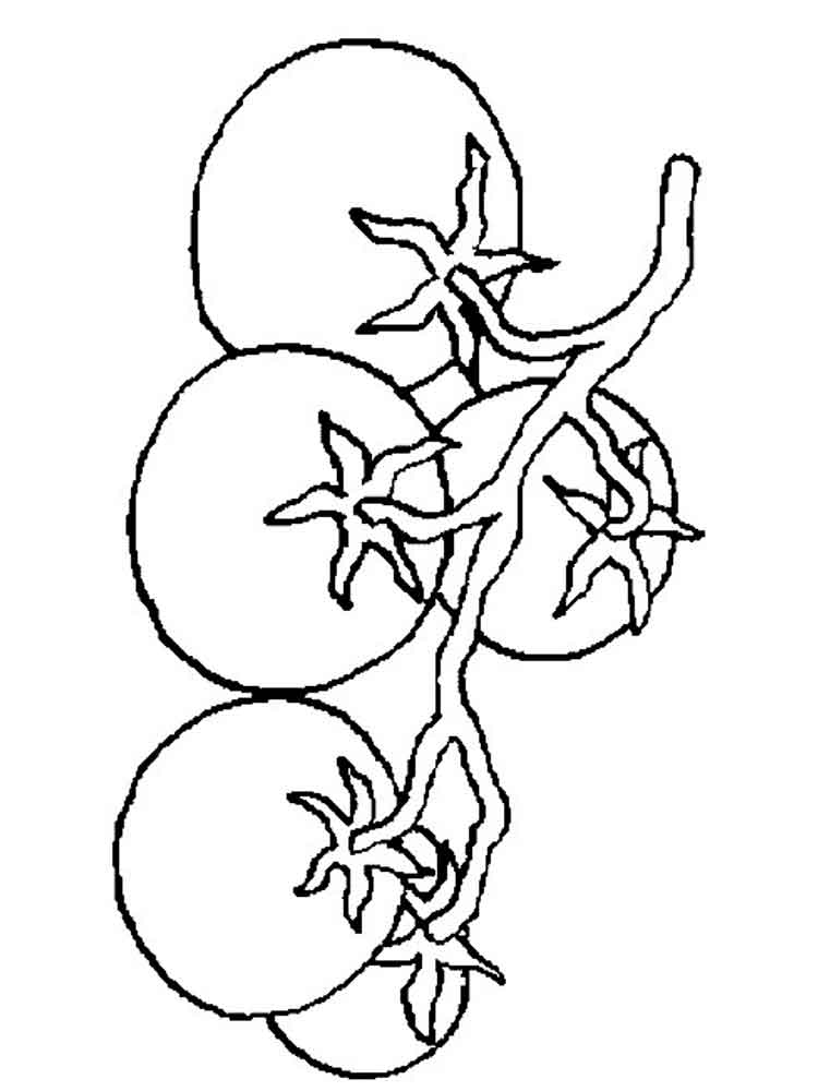 750x1000 Coloring Page S