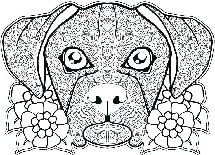736x533 Coloring Page Of Dog Dogs And Cats Coloring Pages Free Coloring