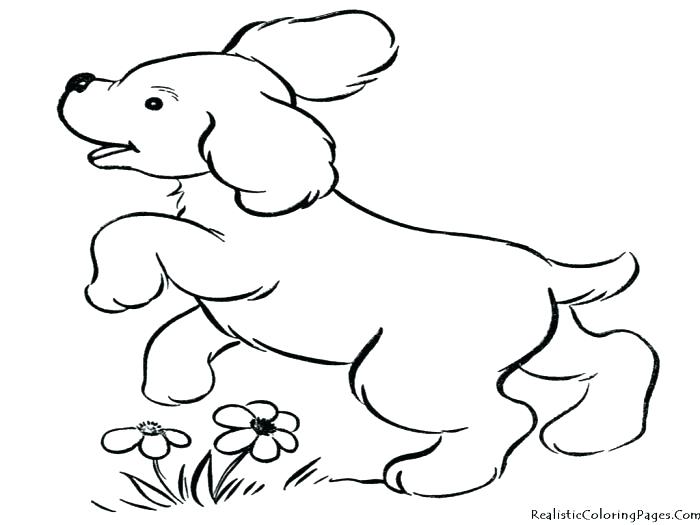 700x525 Dog And Cat Coloring Pages Printable Cat Dog Free Printable