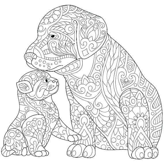 570x570 Coloring Pages Of Dogs And Cats Cat And Dog Coloring Pages Dog