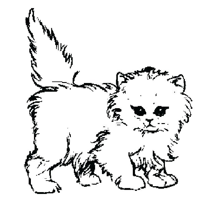Cat And Kitten Coloring Pages
