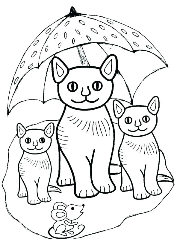 601x800 Coloring Pages Kittens Unique Kitten Printable Coloring Pages New