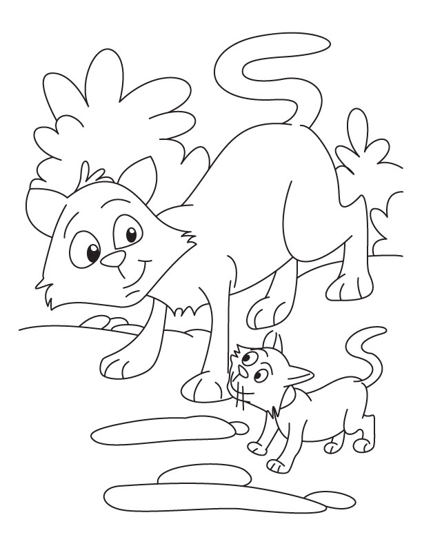 612x792 Cat And Kitten Coloring Page Great Cat And Kitten Coloring Pages