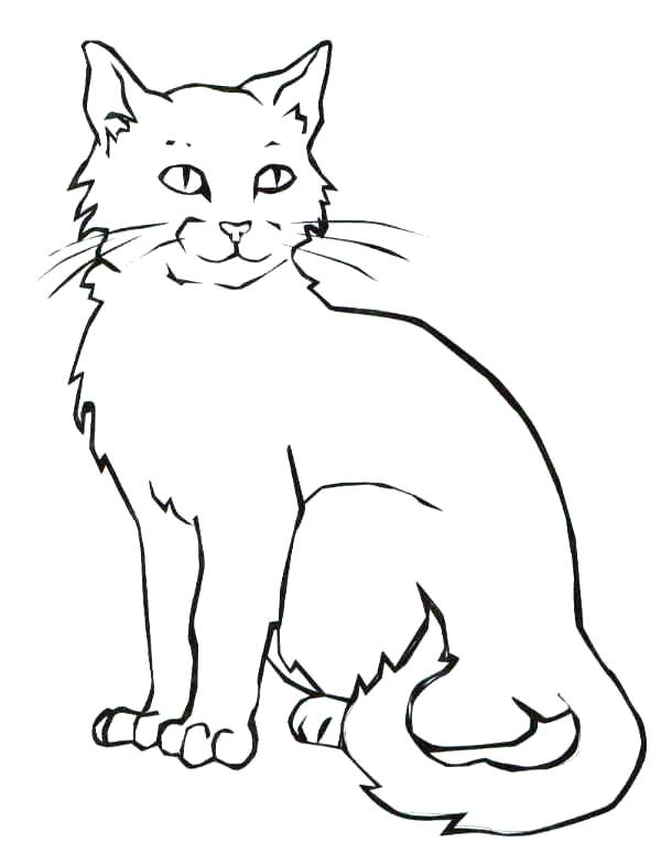 610x784 Kittens Coloring Pages Pdf Good Cats Coloring Pages Or Printable