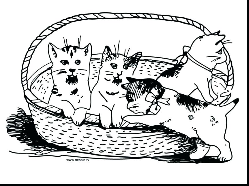 863x647 Puppy And Kitty Coloring Pages Extraordinary Baby Kittens Coloring