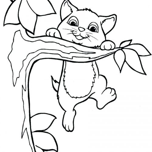 500x500 Coloring Pages ~ Kitten Coloring Pages Black Cat To Tiny Cute Free