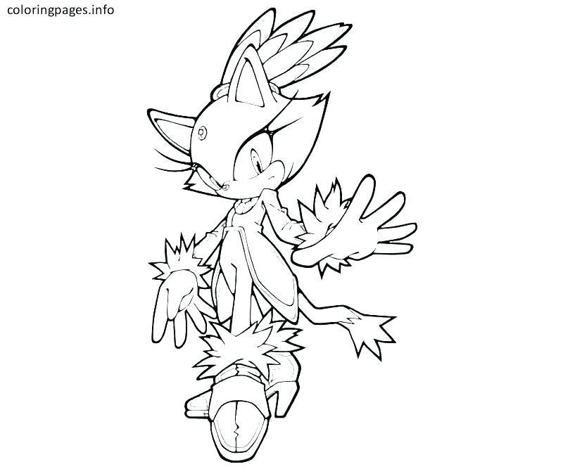 800x667 Cat Mouse Coloring Pages The Sun Flower Cat And Mouse Coloring