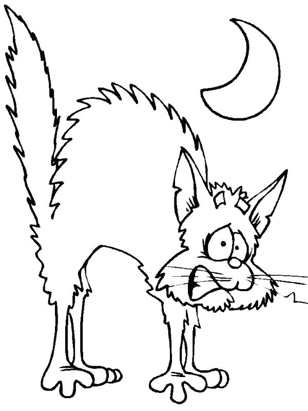 600x799 Black Cat Coloring Page Coloring Cat Pictures Black Cat Coloring