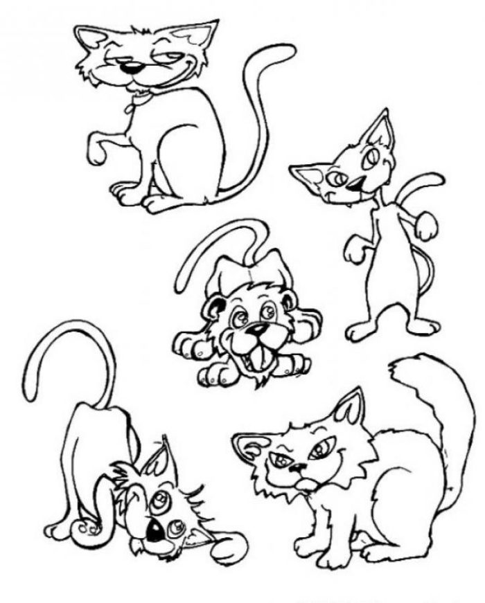 700x871 Twin Cats And Mouse Coloring Page Animal Pages