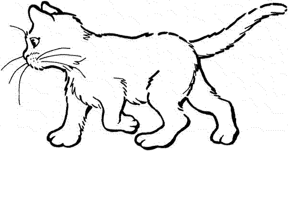 Cat Coloring Pages
